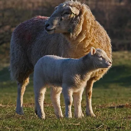 Farfield Threshfield