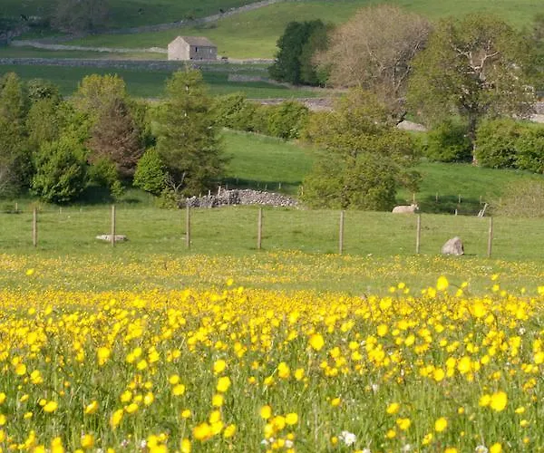 Farfield * Threshfield