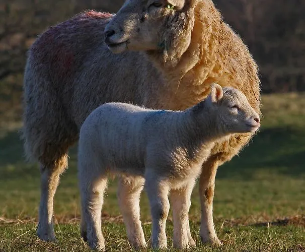 Farfield Threshfield